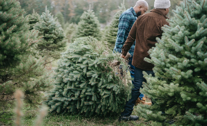 real tree